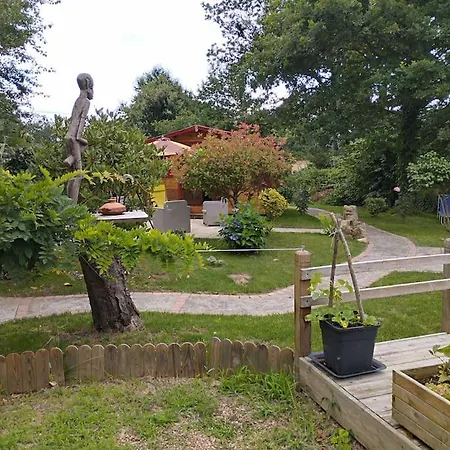 Dans Notre Jardin *